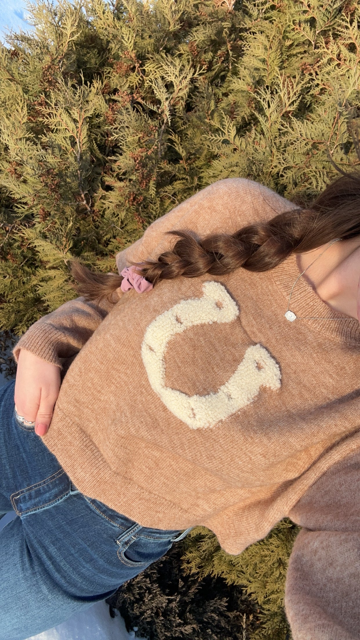 Horseshoe Sweater